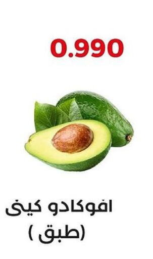  Avacado  in جمعية العديلة التعاونية in الكويت - محافظة الجهراء