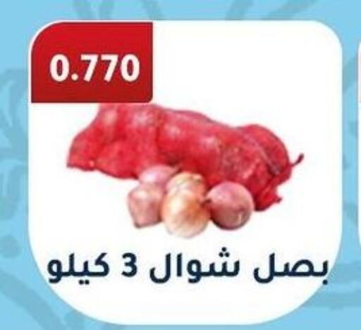  Onion  in جمعية فحيحيل التعاونية in الكويت - محافظة الجهراء