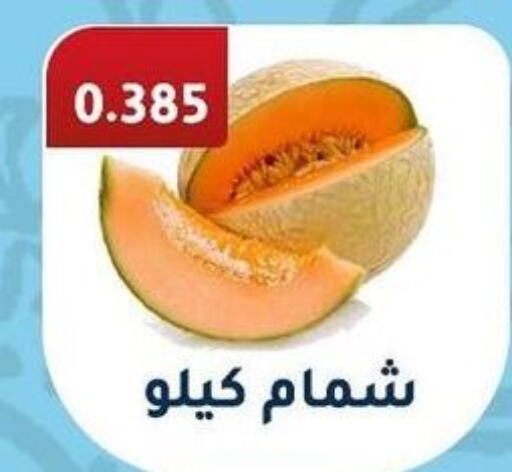  Sweet melon  in جمعية فحيحيل التعاونية in الكويت - محافظة الجهراء