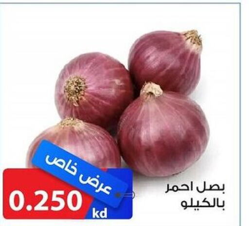  Onion  in جمعية الشامية والشويخ التعاونية in الكويت - مدينة الكويت