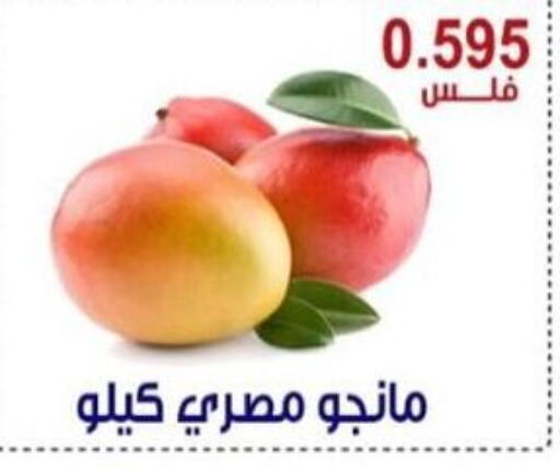  Mangoes  in Egaila Cooperative Society in Kuwait - Ahmadi Governorate