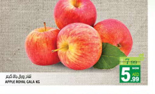  Apples  in هاشم هايبرماركت in الإمارات العربية المتحدة , الامارات - الشارقة / عجمان