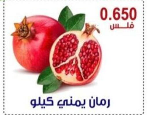  Pomegranate  in Egaila Cooperative Society in Kuwait - Ahmadi Governorate