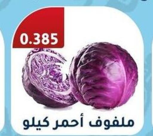  Cabbage  in جمعية فحيحيل التعاونية in الكويت - محافظة الجهراء