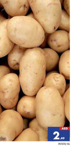  Potato  in المدينة in الإمارات العربية المتحدة , الامارات - الشارقة / عجمان