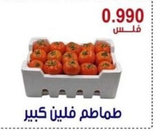  Tomato  in Egaila Cooperative Society in Kuwait - Ahmadi Governorate