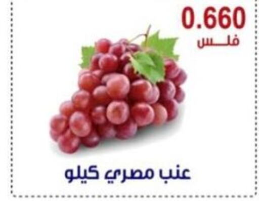  Grapes  in Egaila Cooperative Society in Kuwait - Ahmadi Governorate