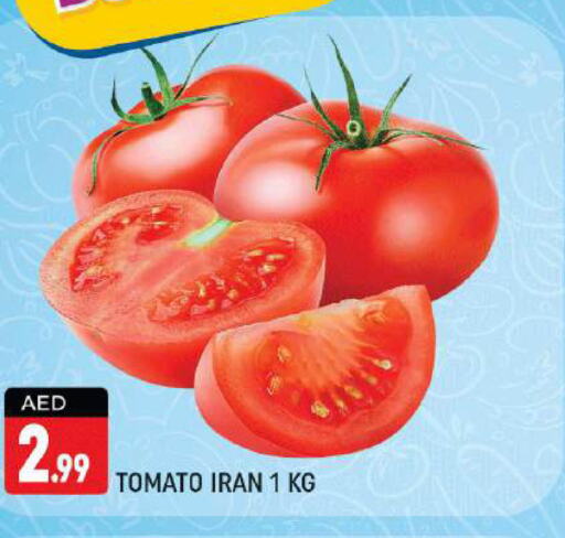  Tomato  in شكلان ماركت in الإمارات العربية المتحدة , الامارات - دبي