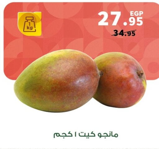  Mangoes  in Panda  in Egypt - Cairo