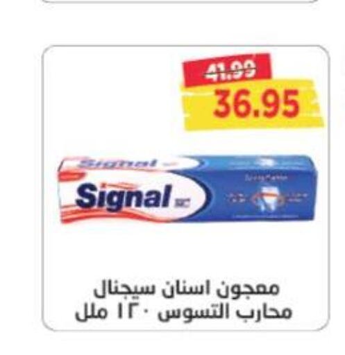 SIGNAL معجون أسنان  in مترو ماركت in Egypt - القاهرة