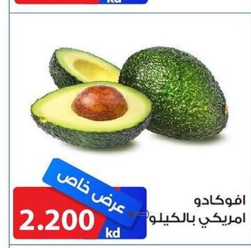  Avacado  in جمعية الشامية والشويخ التعاونية in الكويت - مدينة الكويت