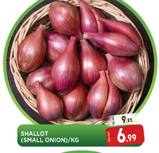  Onion  in المدينة in الإمارات العربية المتحدة , الامارات - الشارقة / عجمان