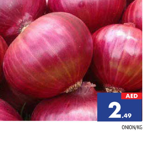  Onion  in المدينة in الإمارات العربية المتحدة , الامارات - الشارقة / عجمان