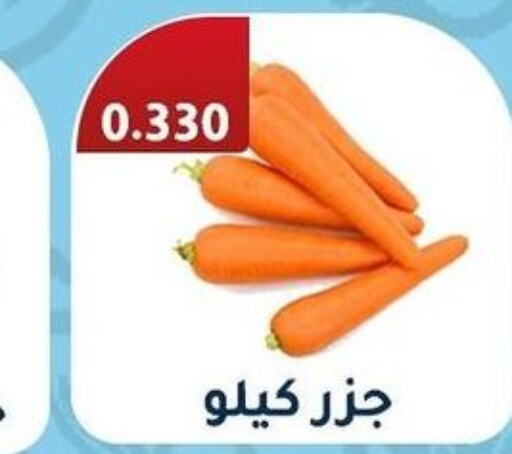  Carrot  in جمعية فحيحيل التعاونية in الكويت - محافظة الجهراء