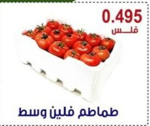  Tomato  in Egaila Cooperative Society in Kuwait - Ahmadi Governorate