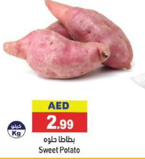  Sweet Potato  in أسواق رامز in الإمارات العربية المتحدة , الامارات - الشارقة / عجمان