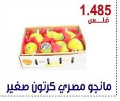  Mangoes  in Egaila Cooperative Society in Kuwait - Ahmadi Governorate