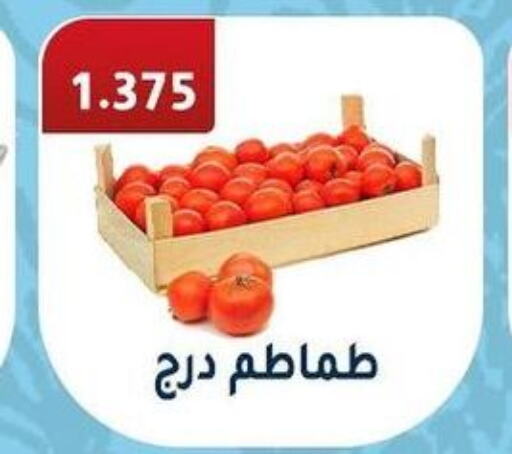  Tomato  in جمعية فحيحيل التعاونية in الكويت - محافظة الجهراء