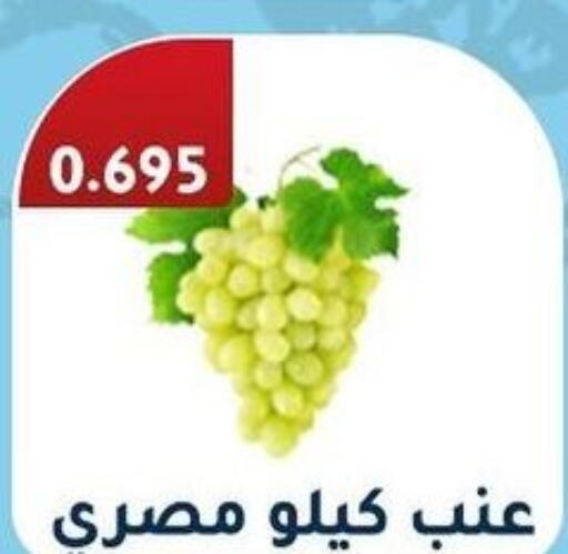  Grapes  in جمعية فحيحيل التعاونية in الكويت - محافظة الجهراء