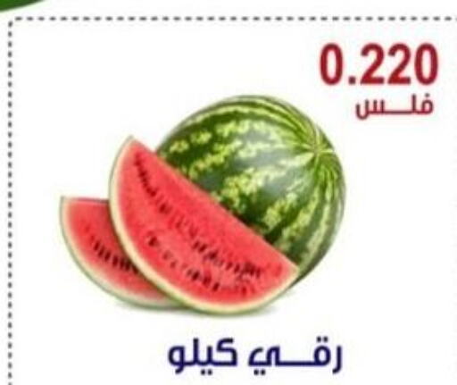  Watermelon  in Egaila Cooperative Society in Kuwait - Ahmadi Governorate