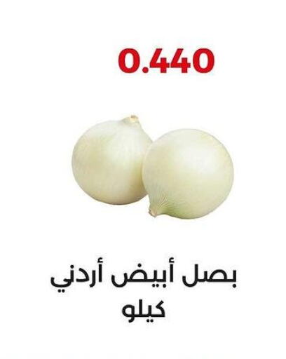  Onion  in جمعية العديلة التعاونية in الكويت - محافظة الأحمدي