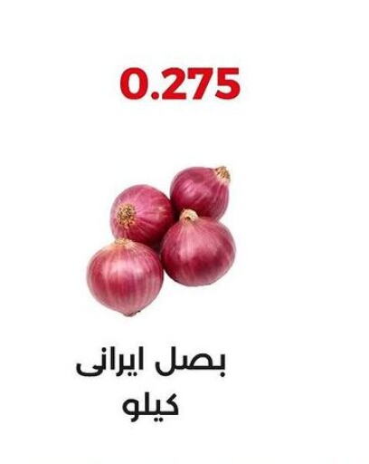  Onion  in جمعية العديلة التعاونية in الكويت - محافظة الأحمدي