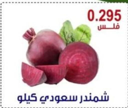  Beetroot  in Egaila Cooperative Society in Kuwait - Ahmadi Governorate