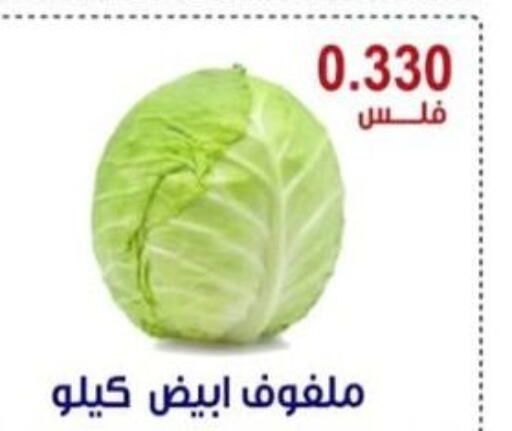  Cabbage  in Egaila Cooperative Society in Kuwait - Ahmadi Governorate