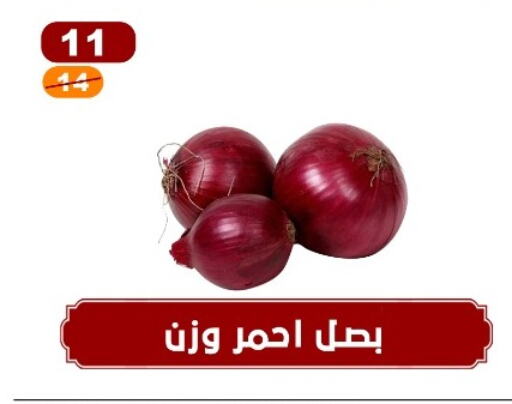  Onion  in Hyper Meeza Egypt  in Egypt - Cairo