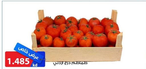  Tomato  in جمعية الشامية والشويخ التعاونية in الكويت - مدينة الكويت