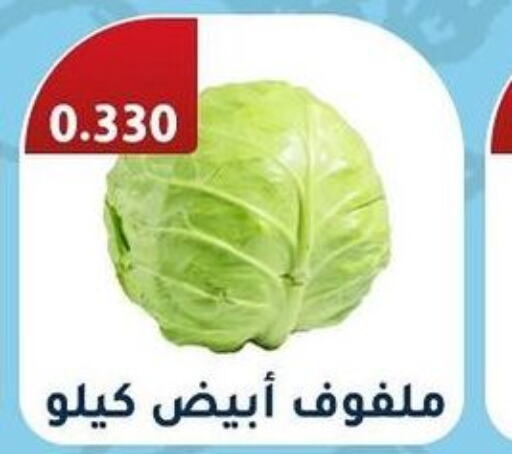  Cabbage  in جمعية فحيحيل التعاونية in الكويت - محافظة الجهراء