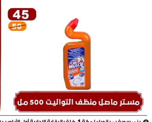 MR. MUSCLE Toilet / Drain Cleaner  in Hyper Meeza Egypt  in Egypt - Cairo