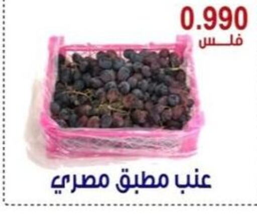  Grapes  in Egaila Cooperative Society in Kuwait - Ahmadi Governorate