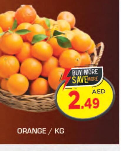  Orange  in سنابل بني ياس in الإمارات العربية المتحدة , الامارات - ٱلْعَيْن‎