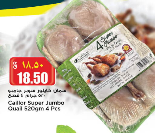  Quail  in ريتيل مارت in قطر - أم صلال