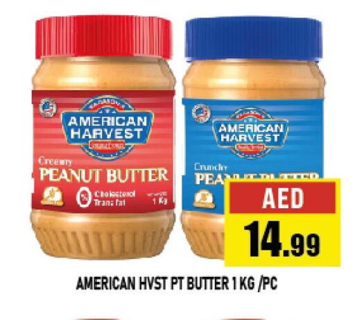 AMERICAN HARVEST Peanut Butter  in أزهر المدينة هايبرماركت in الإمارات العربية المتحدة , الامارات - أبو ظبي