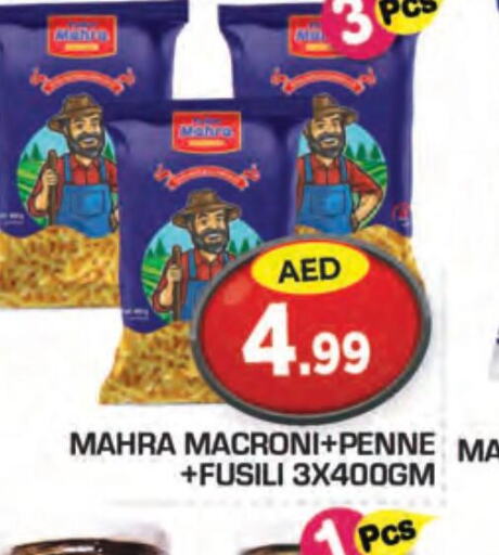  Macaroni  in سنابل بني ياس in الإمارات العربية المتحدة , الامارات - ٱلْعَيْن‎