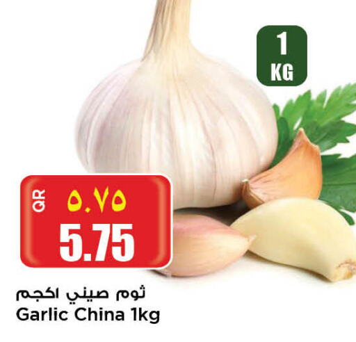 Garlic