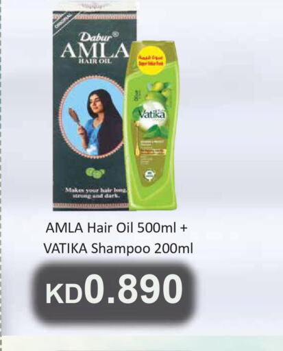 DABUR Shampoo / Conditioner  in Grand Hyper in Kuwait - Kuwait City