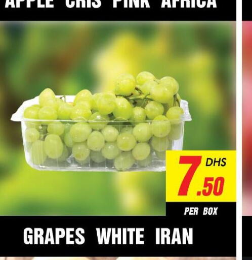  Grapes  in نايت تو نايت in الإمارات العربية المتحدة , الامارات - الشارقة / عجمان