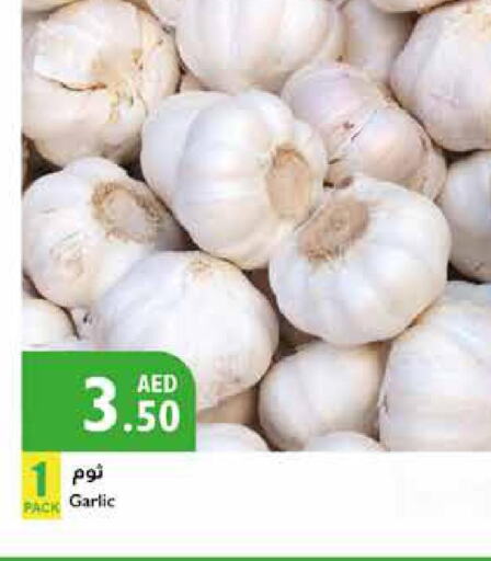  Garlic  in إسطنبول سوبرماركت in الإمارات العربية المتحدة , الامارات - أبو ظبي