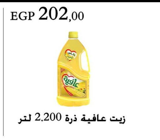 AFIA Corn Oil  in عرفة ماركت in Egypt - القاهرة