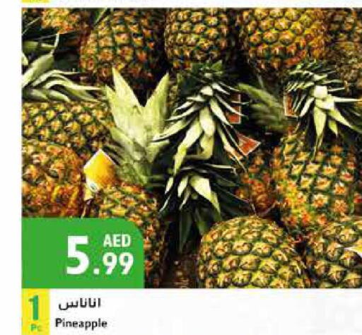  Pineapple  in إسطنبول سوبرماركت in الإمارات العربية المتحدة , الامارات - أبو ظبي