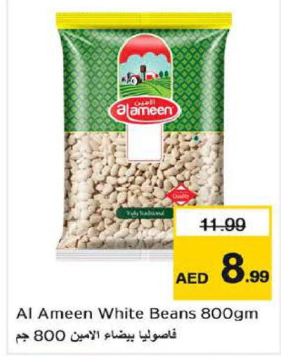 AL AMEEN   in Nesto Hypermarket in UAE - Abu Dhabi