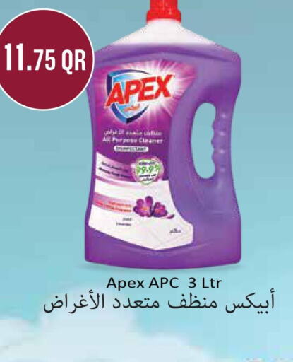  General Cleaner  in مونوبريكس in قطر - الخور