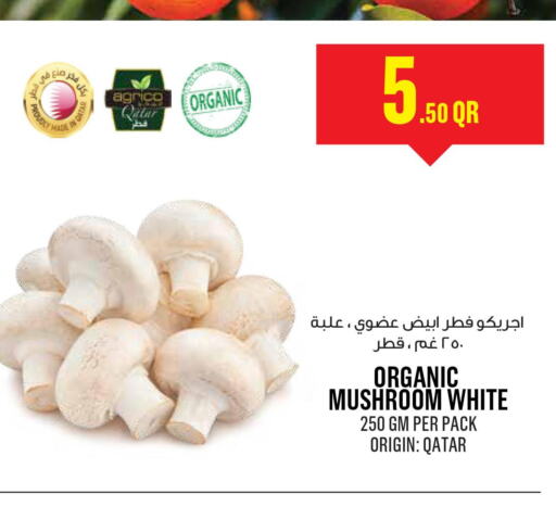  Mushroom  in مونوبريكس in قطر - الخور