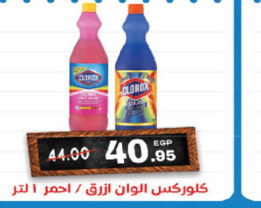 CLOROX General Cleaner  in Zaher Dairy in Egypt - Cairo