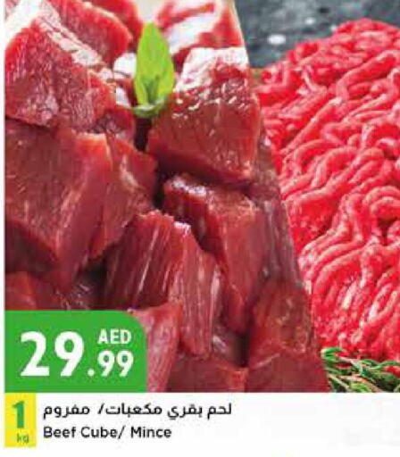  Beef  in إسطنبول سوبرماركت in الإمارات العربية المتحدة , الامارات - أبو ظبي