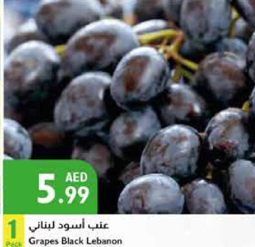  Grapes  in إسطنبول سوبرماركت in الإمارات العربية المتحدة , الامارات - أبو ظبي