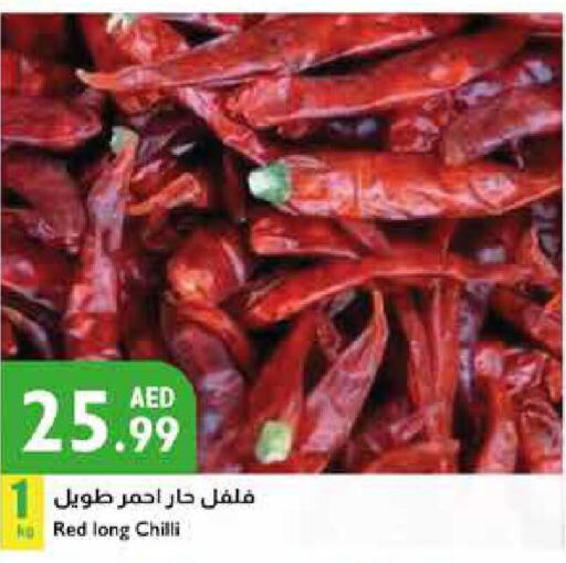  Chilli / Capsicum  in إسطنبول سوبرماركت in الإمارات العربية المتحدة , الامارات - أبو ظبي